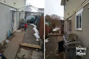 narrow backyard after winter