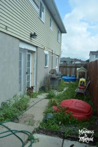 narrow backyard ideas