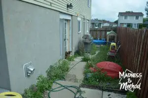 narrow backyard with weeds