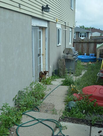 narrow backyard with weeds