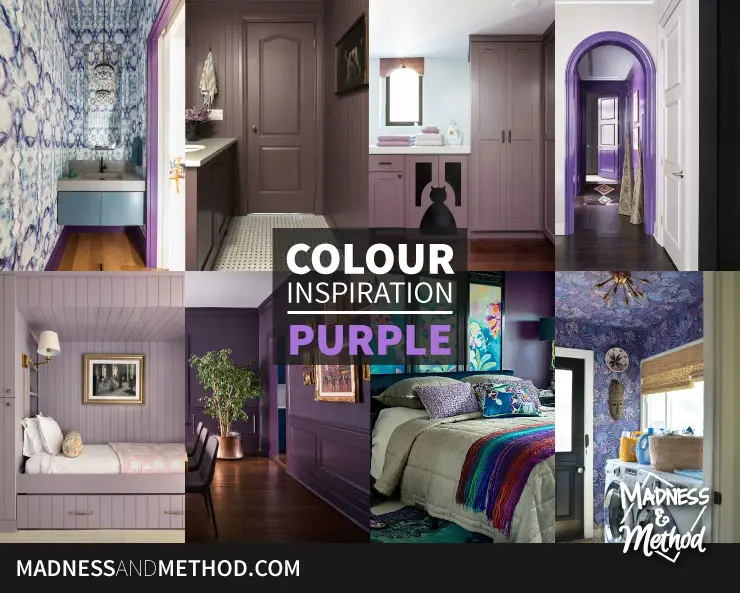 colour inspiration purple feature with purple rooms