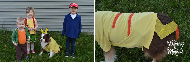 diy pikachu dog costume