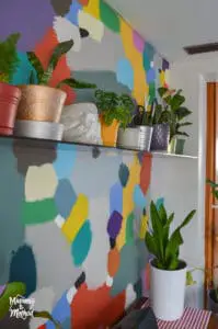 minimalist plant shelves