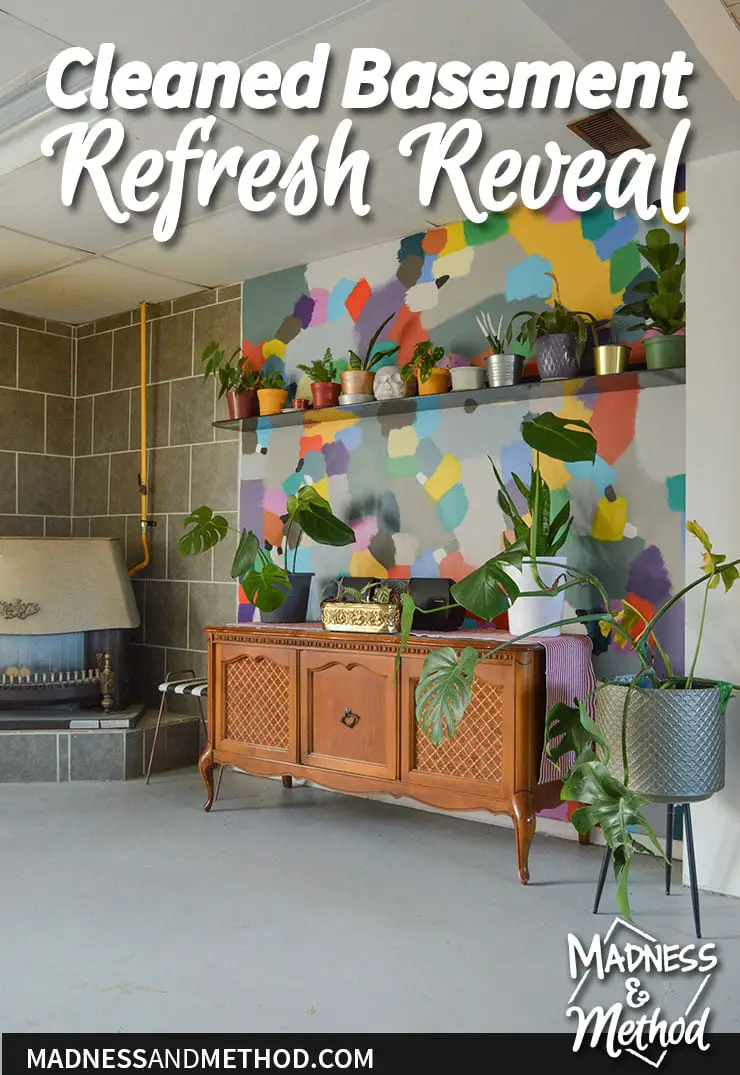 cleaned basement refresh reveal