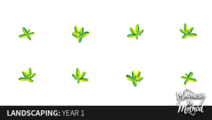budget landscaping diagram animation