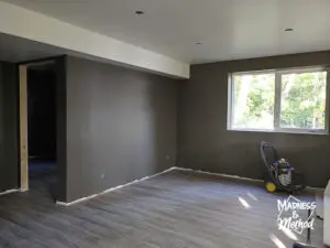 dark painted walls in basement with windows