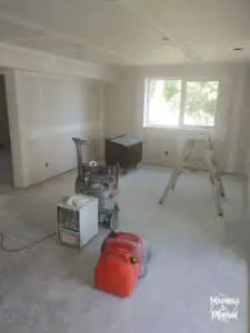 basement with drywall and big windows