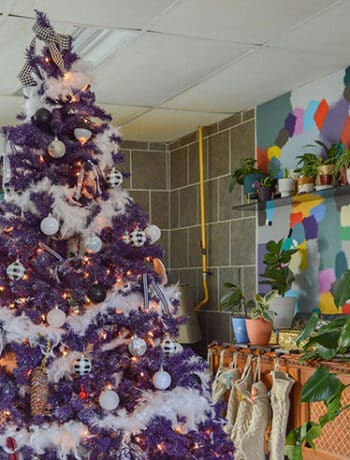 purple christmas tree near colouful wall