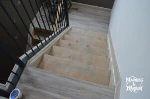 first coat of stain