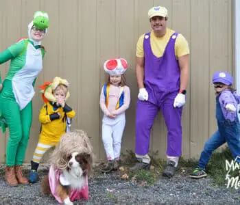 super mario family costumes