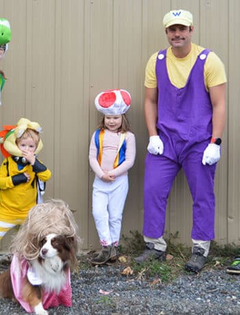 super mario family costumes