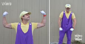 wario costume