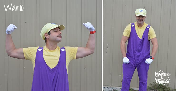 wario costume