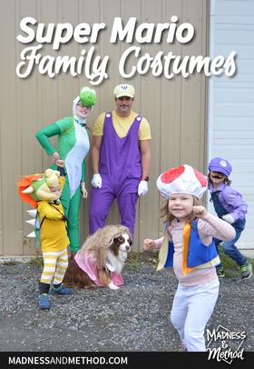 Super Mario Family Costumes