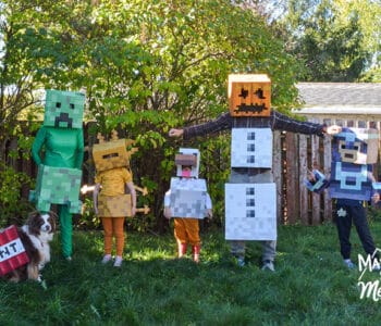 family minecraft halloween costumes