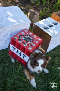DIY minecraft dog costume TNT