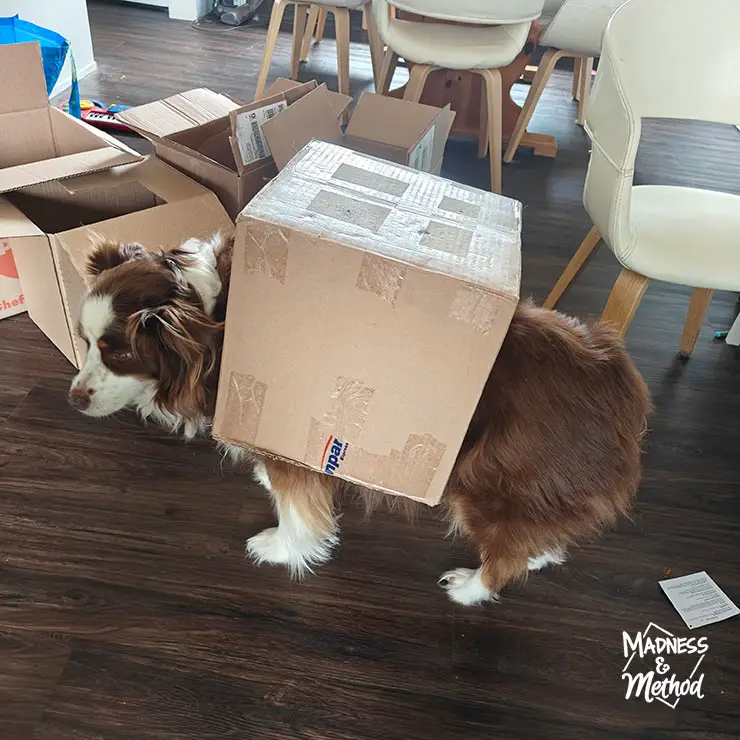 making cardboard costumes
