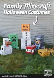 minecraft cardboard costumes