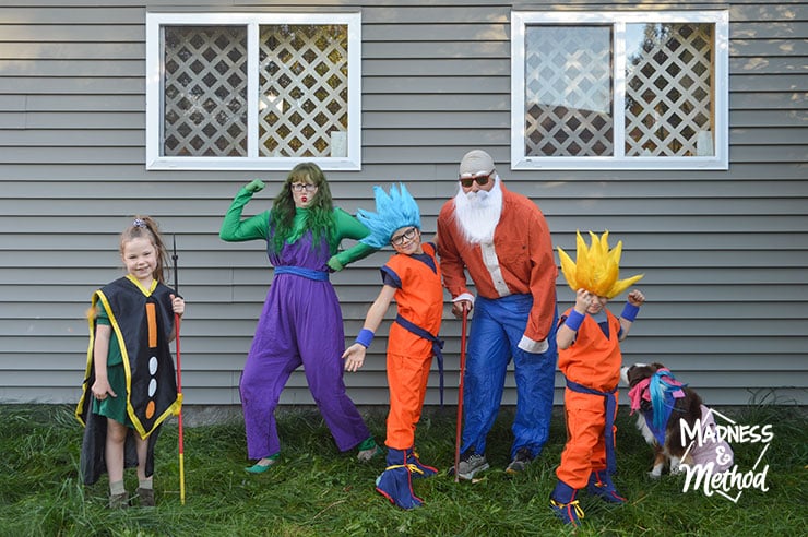 family dragon ball Halloween costumes
