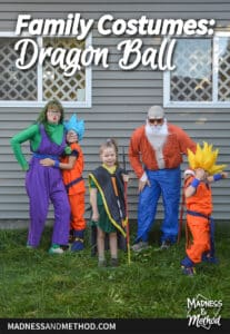 family costumes dragon ball