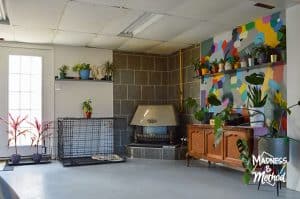 walkout basement with concrete floor and old fireplace
