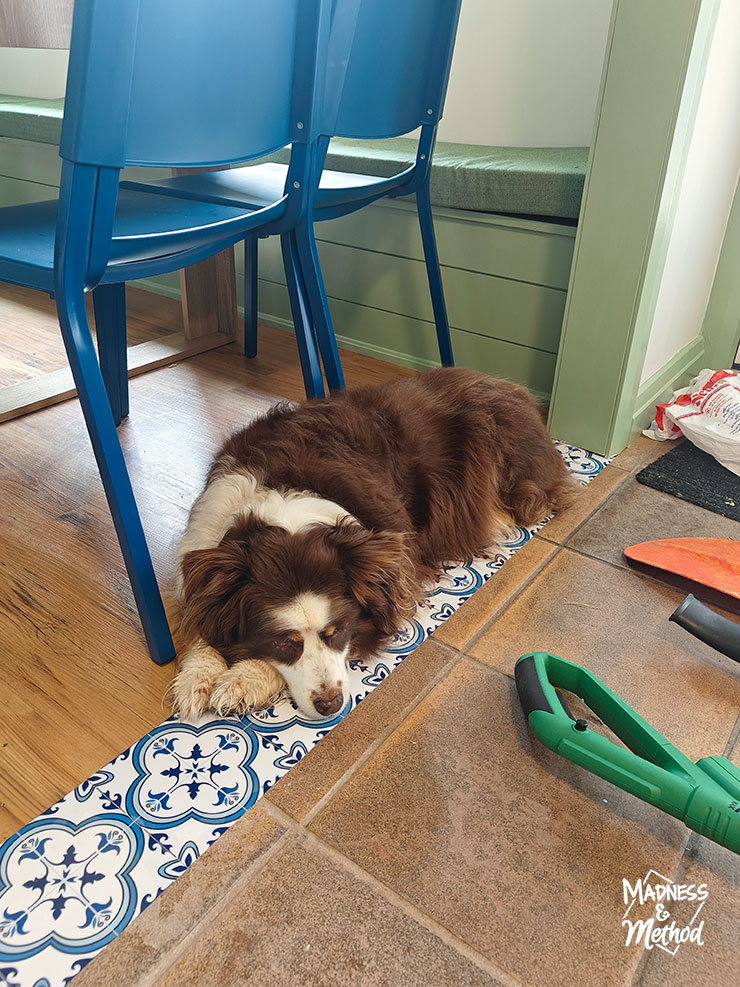 tootsie on floor transition