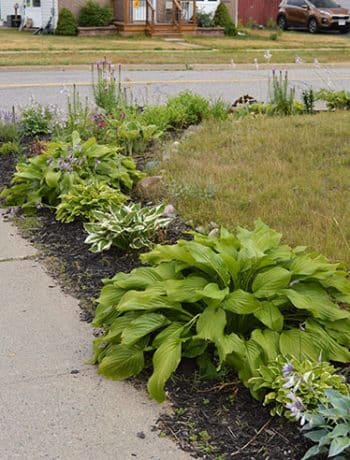 corner lot flower garden