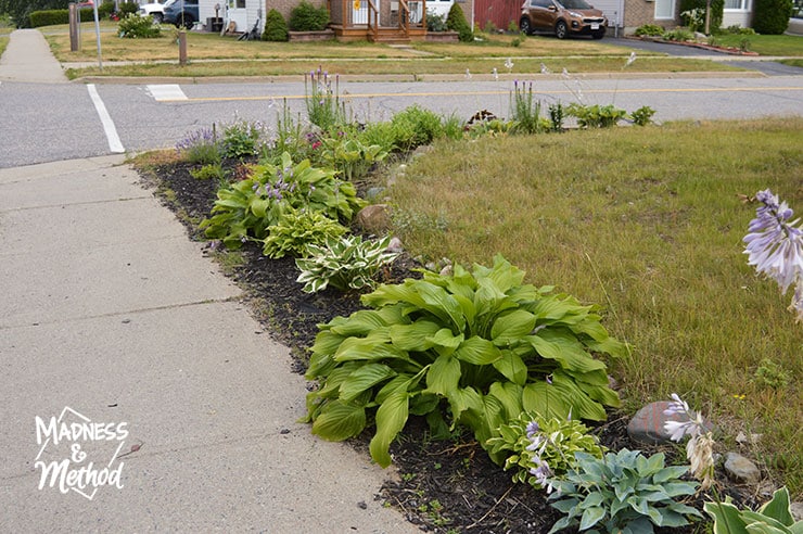 corner lot flower garden