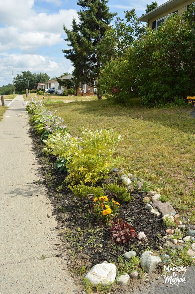sidewalk landscaping