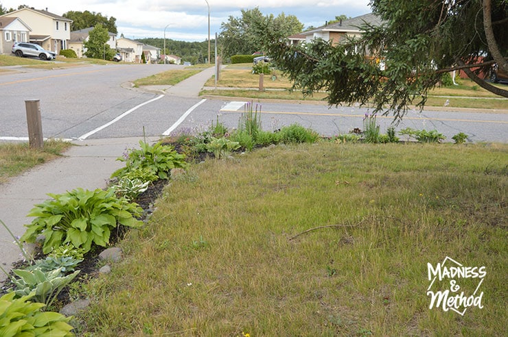 landscaping edge of lot