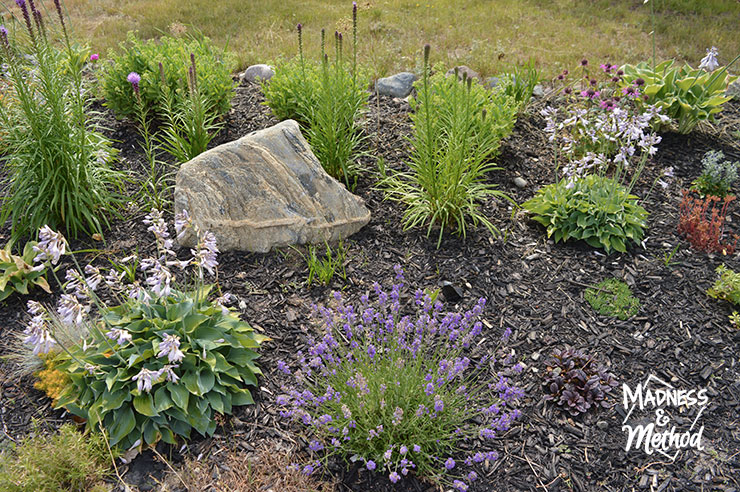 rock in garden