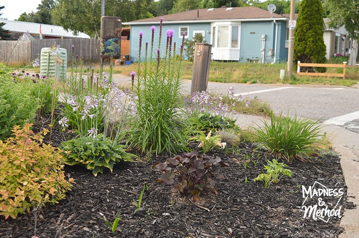 corner lot flower garden