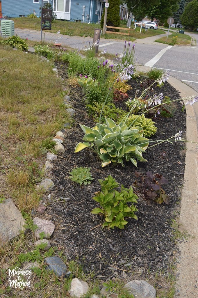 landscaping with black mulch