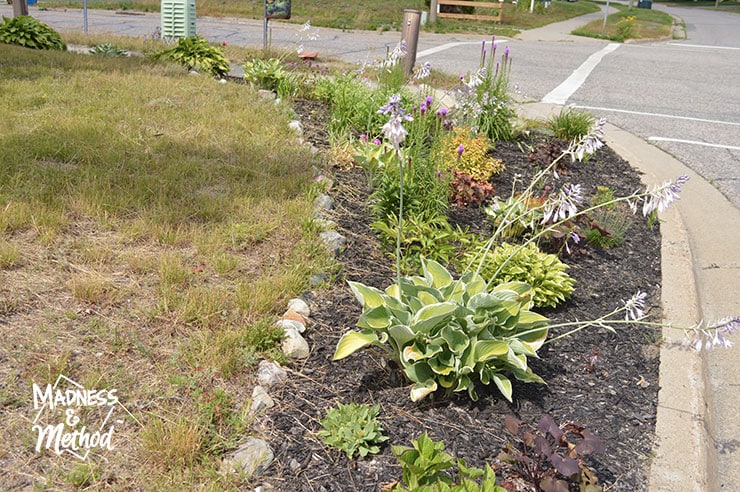 flower garden