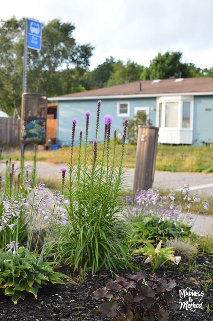 corner landscaping