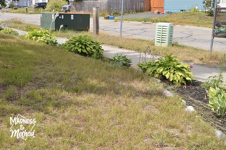busy street landscaping