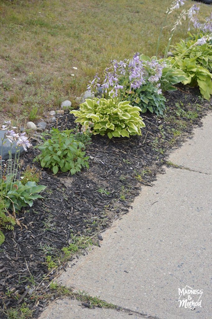 landscaping flower garden
