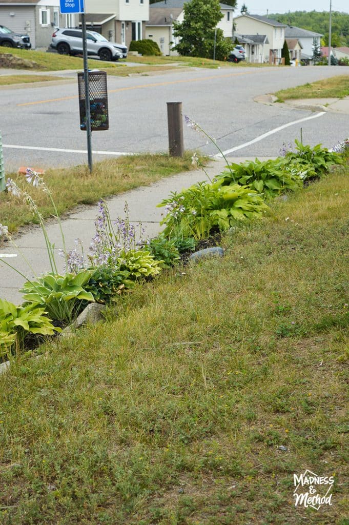 flowers along sidewalk