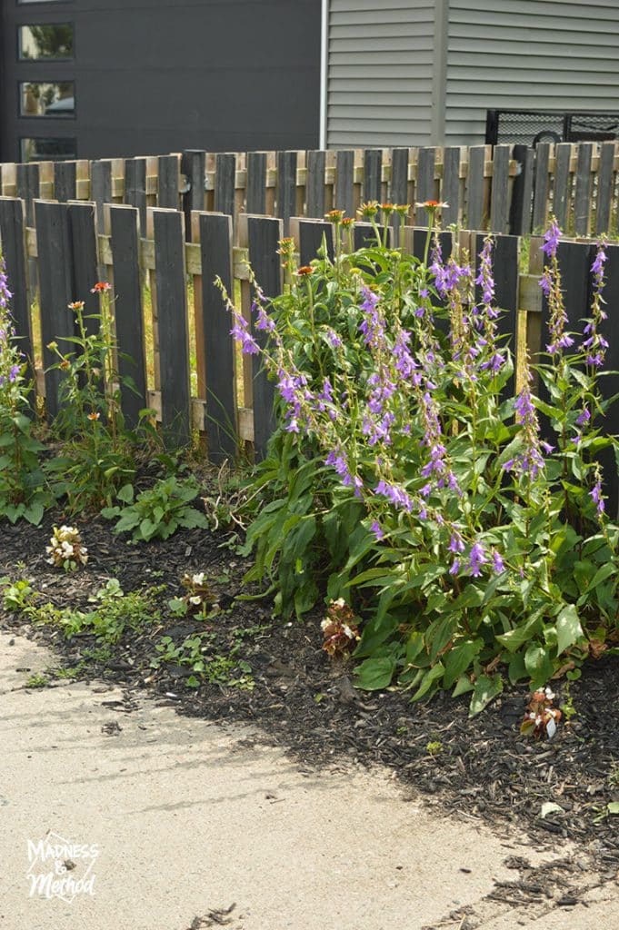 flower garden in front of fence
