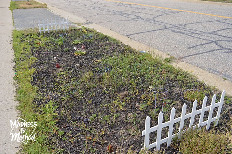 landscaping black mulch and weeds