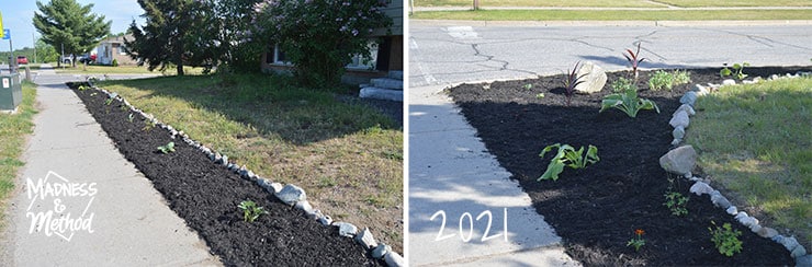 garden landscaping before