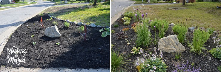 landscaping before and after