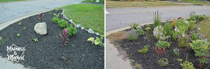flower garden before after