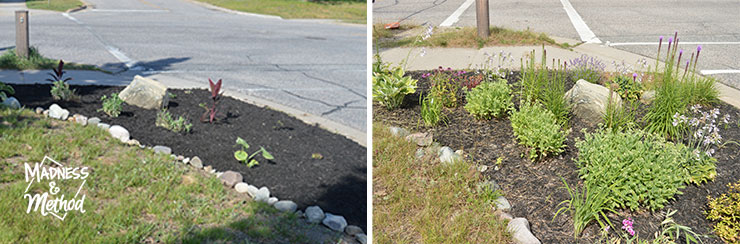 five year flower garden update