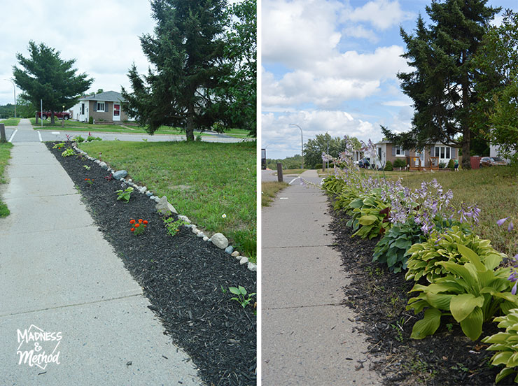 sidewalk landscaping five years later