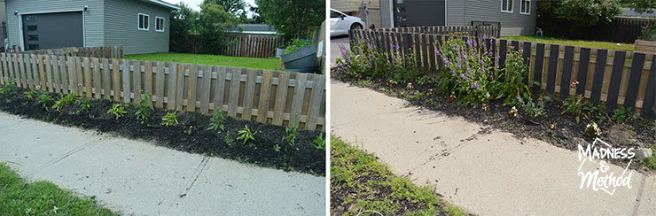 fence garden before and after
