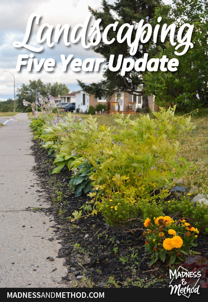 landscaping five year update