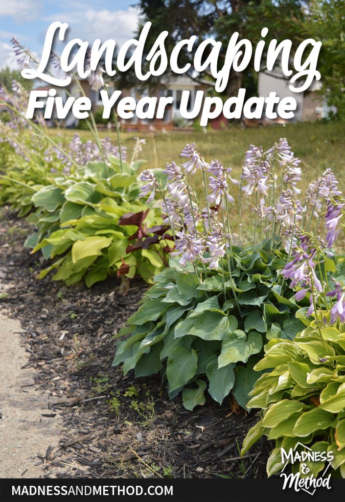 five year landscaping update