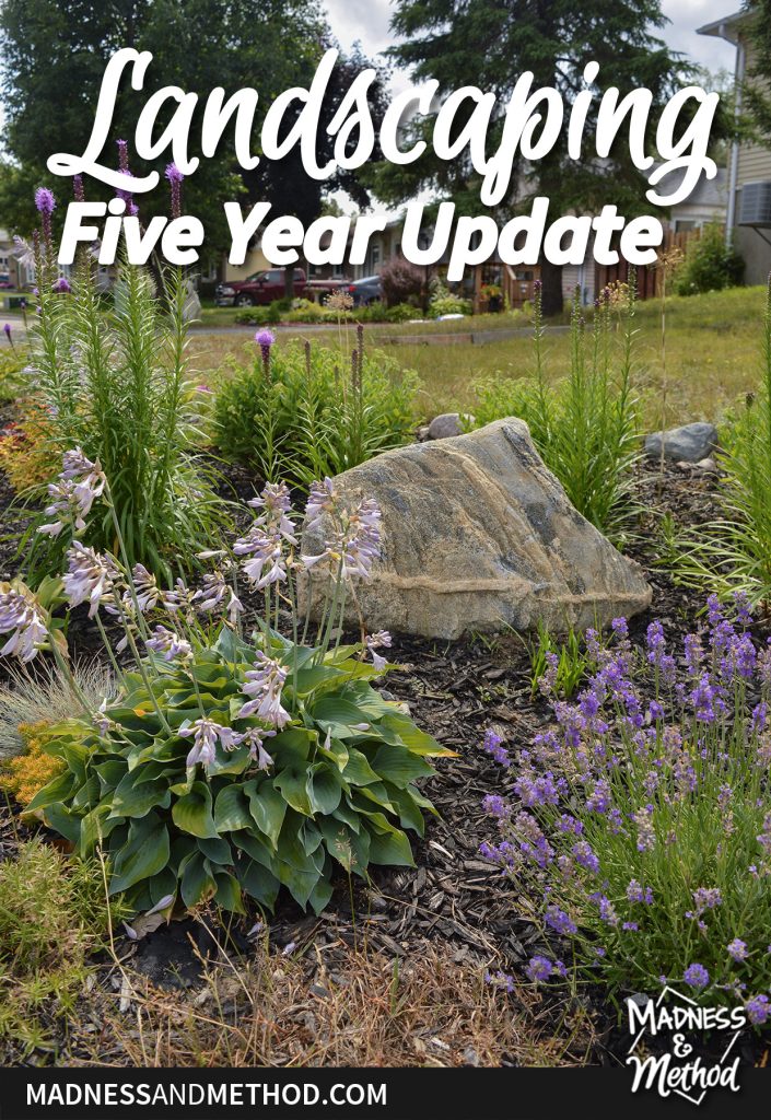 landscaping five year update